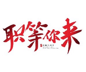 平台运营