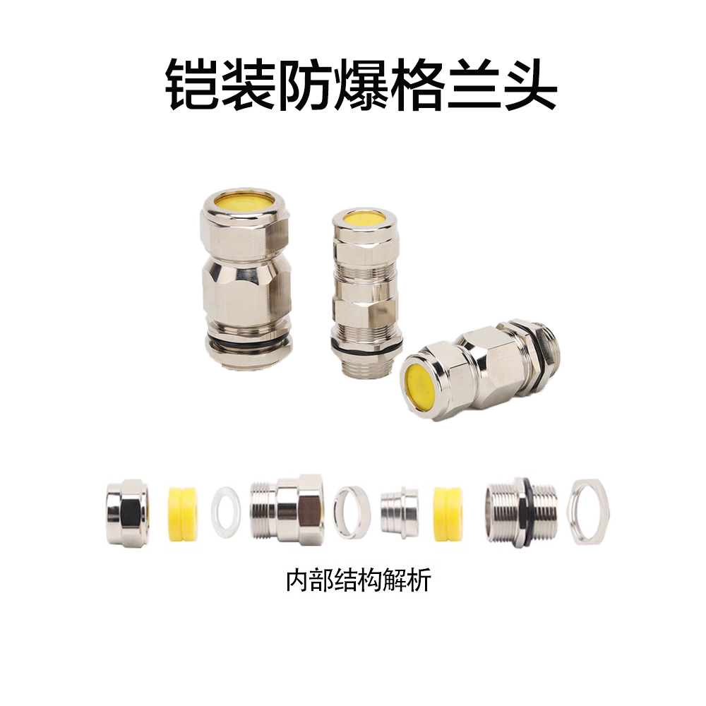 铠装防爆格兰头